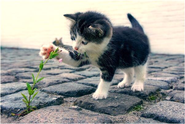 夢見金庫被盜錢丟了是什麼預兆？_周公解夢官網