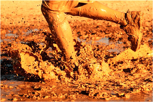 夢到了白狐死而復活有何寓意_周公解夢官網