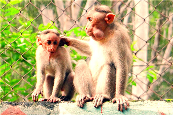 夢見自己背著別人孩子吵架預兆了什麼嗎_周公解夢官網