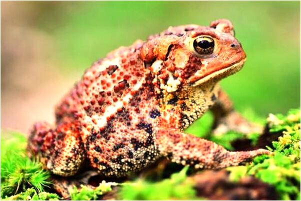 夢見別人換新髮型了是咋回事_周公解夢官網