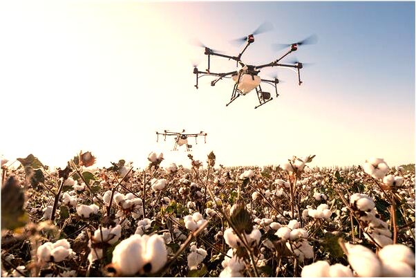 夢到了什麼是連珠局有什麼徵兆_周公解夢官網