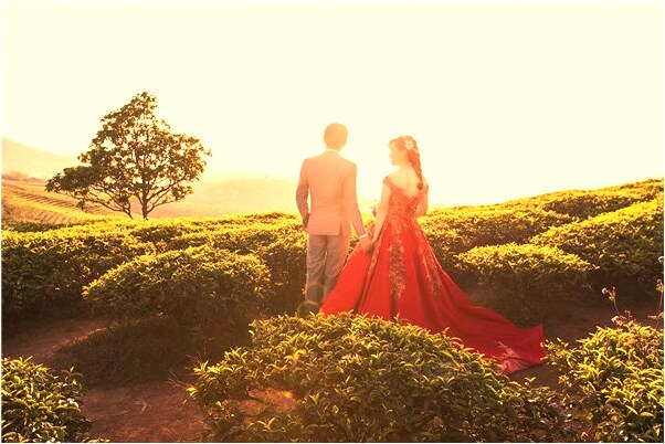 夢到家中的被子有蟲子是凶兆還是吉兆_周公解夢官網