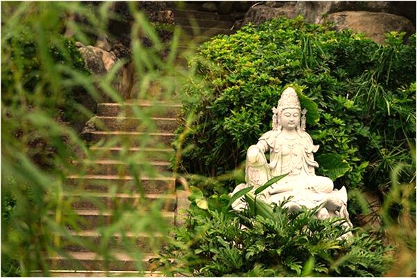 夢到了他人讓車撞了出血了有何寓意_周公解夢官網