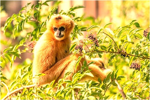 夢見陌生男女打架穿過了樓板有什麼徵兆_周公解夢官網