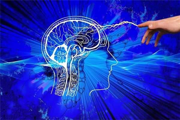 夢到了腦癌代表著什麼？_周公解夢