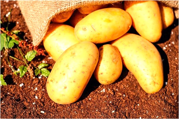 夢見找到對象有什麼說法_周公解夢官網