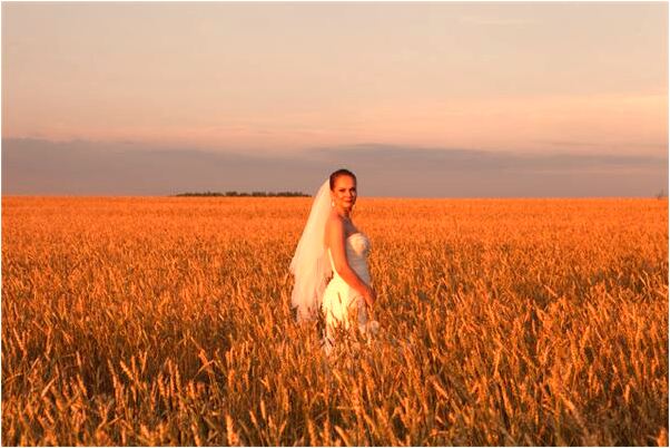 夢到坐電梯快速上升是什麼徵兆_周公解夢官網