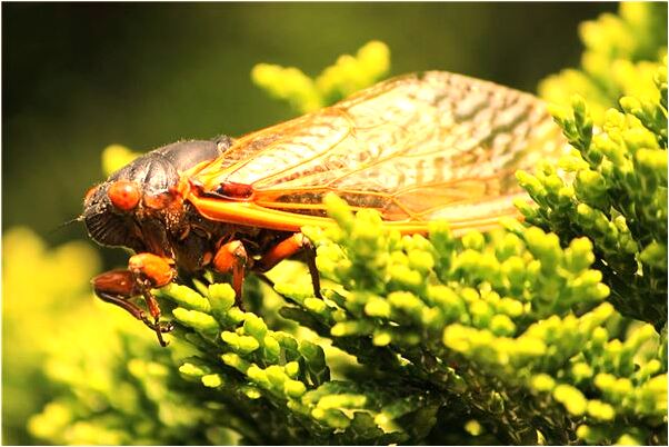 夢見穿童裝有什麼寓意嗎？_周公解夢官網