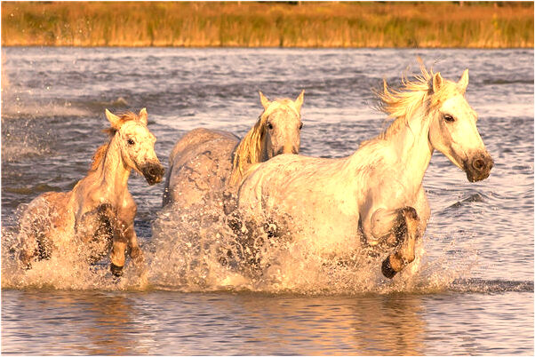 夢到有人給我水代表著什麼?_周公解夢官網