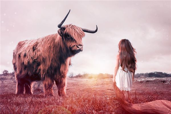 35周歲是哪年出生的_十二生肖