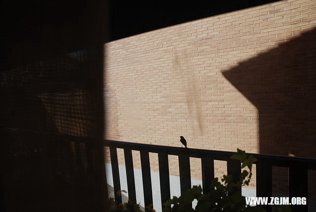 夢見別人被火燒身_周公解夢夢到別人被火燒身是什麼意思_做夢夢見別人被火燒身好不好_周公解夢官網