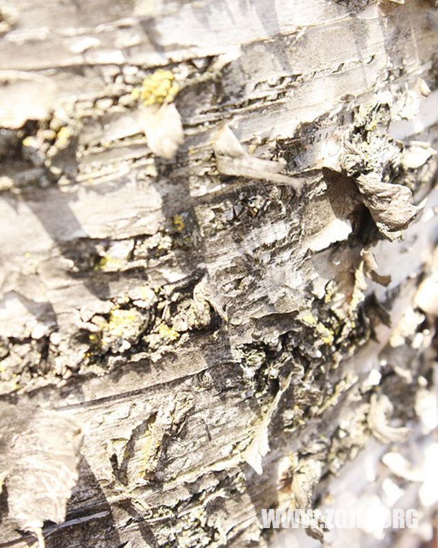 夢見媽開車載我_周公解夢夢到媽開車載我是什麼意思_做夢夢見媽開車載我好不好_周公解夢官網