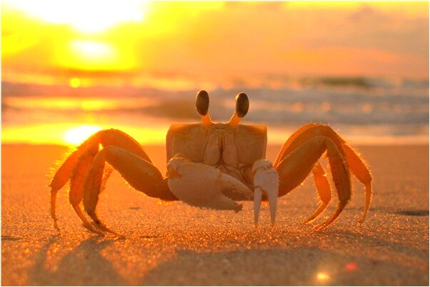 夢到了穿黃衣服的人怎么回事_周公解夢官網