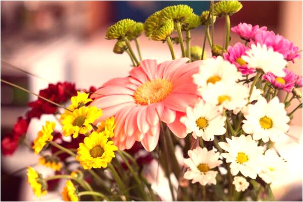 夢見母親兒子被打意味什麼_周公解夢官網