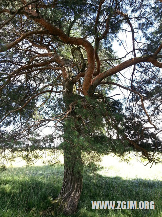 夢見田裡大水沖田提_周公解夢夢到田裡大水沖田提是什麼意思_做夢夢見田裡大水沖田提好不好_周公解夢官網