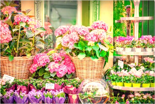 夢到了自己重新上學意味什麼_周公解夢官網