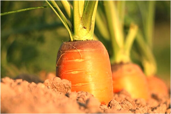 夢到了夢到跟男友吵架意味著什麼_周公解夢官網