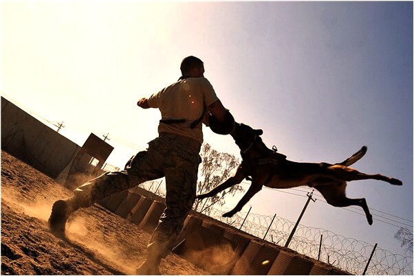 夢到了和同性男人做愛啥意思_周公解夢官網