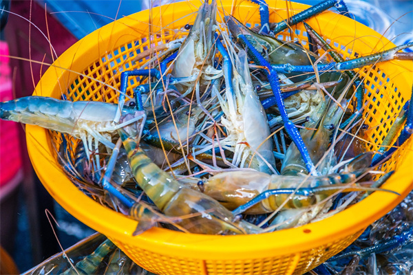 夢到了捉爬叉有什麼意思_周公解夢