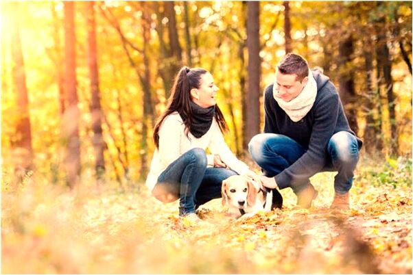 夢到了買了三條大魚送人啥意思_周公解夢官網