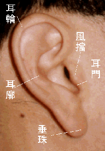 面相分析：5、上停─耳_看相大全