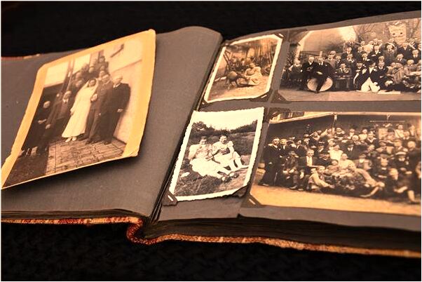 夢到了自己一桿釣了三種魚是什麼啟示_周公解夢官網