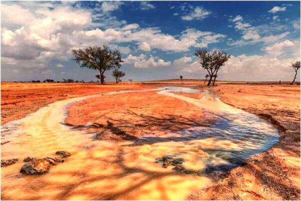 夢到了進廟我給畫金雞圖是好的徵兆嗎_周公解夢官網