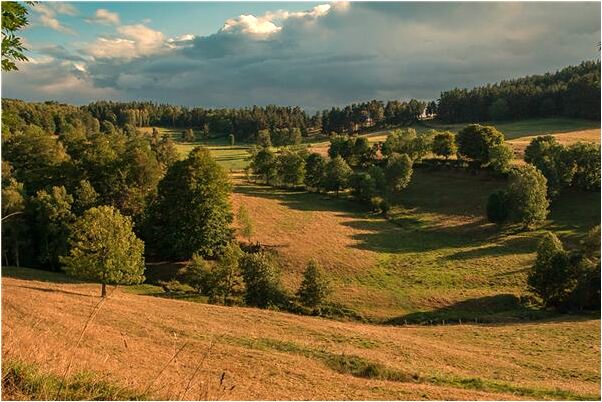 夢到了樓梯有危險是什麼啟示_周公解夢官網