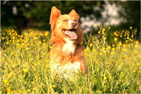 夢見和女朋友閨蜜做愛有什麼寓意嗎_周公解夢官網