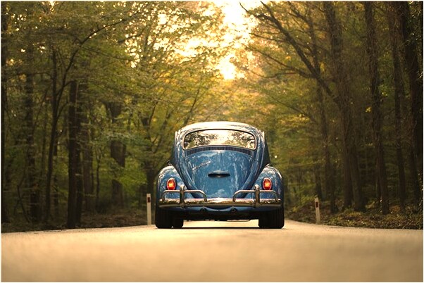 夢到了白色的馬預示著什麼_周公解夢官網