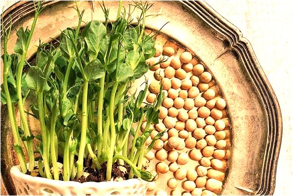 夢到了別人打孩子有什麼預示嗎_周公解夢官網