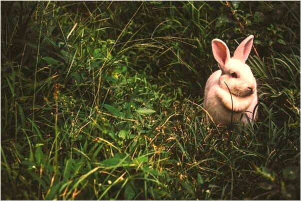 夢到弄掉女友乳頭會有什麼預兆_周公解夢官網