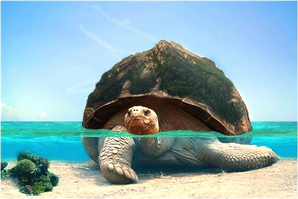 夢到了叉道口意味著什麼_周公解夢官網