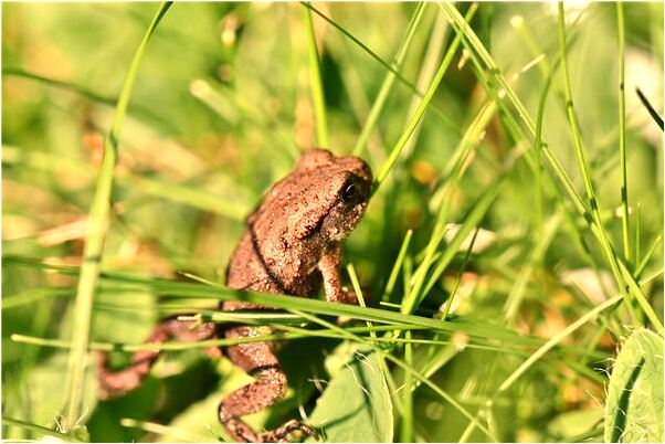 夢到與好友迷路有什麼意思_周公解夢官網