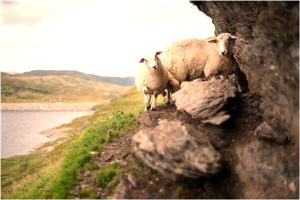 夢到了情人生娃意味著什麼_周公解夢官網