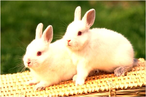 夢到夢摔東西有什麼預兆_周公解夢官網