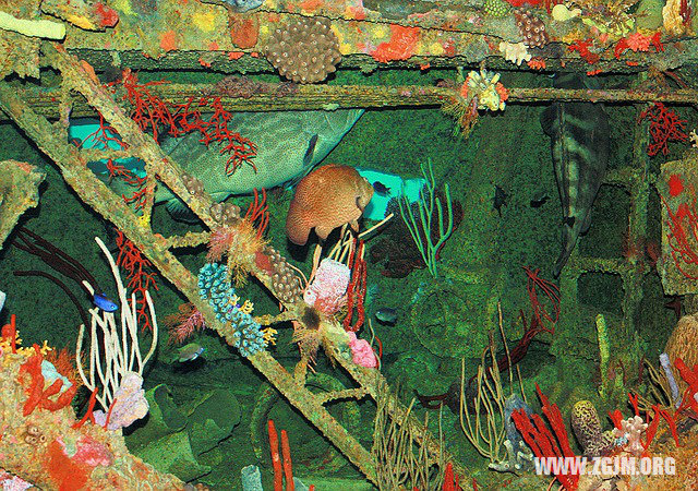 夢見雙胞胎姐妹_周公解夢夢到雙胞胎姐妹是什麼意思_做夢夢見雙胞胎姐妹好不好_周公解夢官網