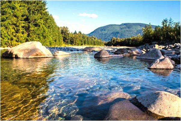 夢到鼠後樣前繞到馬有什麼意思_周公解夢官網