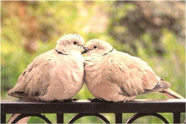 夢到水把房子淹了是不是好的徵兆呢_周公解夢官網