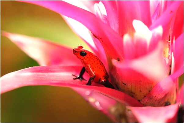 夢到了同事手淫是怎么回事_周公解夢官網