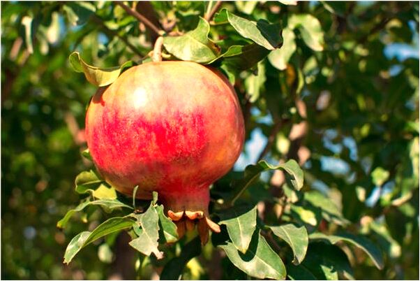 夢見男朋友跟小三是什麼意思_周公解夢官網