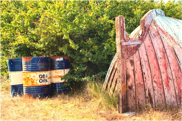 夢到了自己殺死很多老鼠預示什麼_周公解夢官網