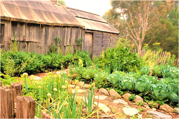 夢到殺了人逃亡是好是壞_周公解夢官網