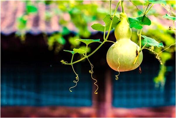 夢到井裡水外出是什麼預兆？_周公解夢官網