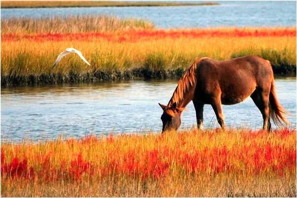 夢到不熟悉的異性朋友追求是凶兆還是吉兆_周公解夢官網