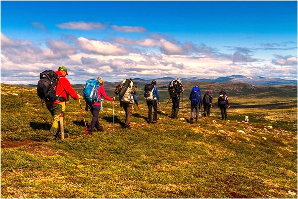 夢到了劫劫匪要錢是啥預兆_周公解夢官網
