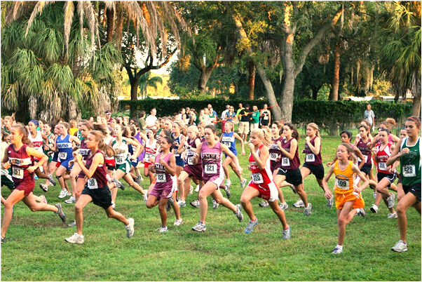 夢到釣了一條大死魚小活魚代表著什麼_周公解夢官網