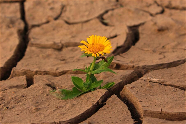 夢到有人叫自己的小名是啥預兆_周公解夢官網