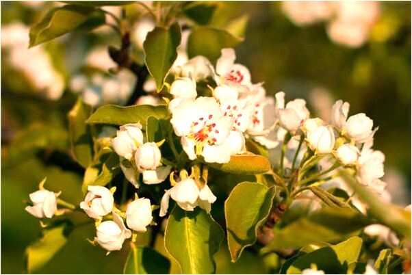 夢到了和自己好朋友親吻有什麼寓意嗎_周公解夢官網