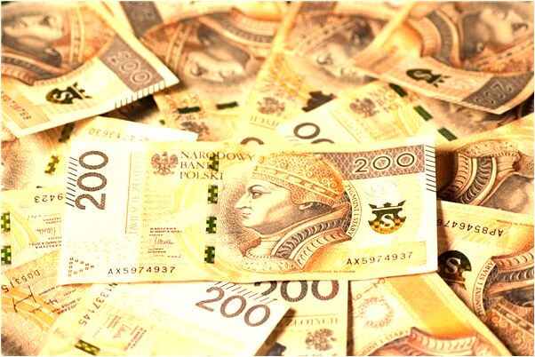 夢到了被狗把後背抓傷預示什麼_周公解夢官網